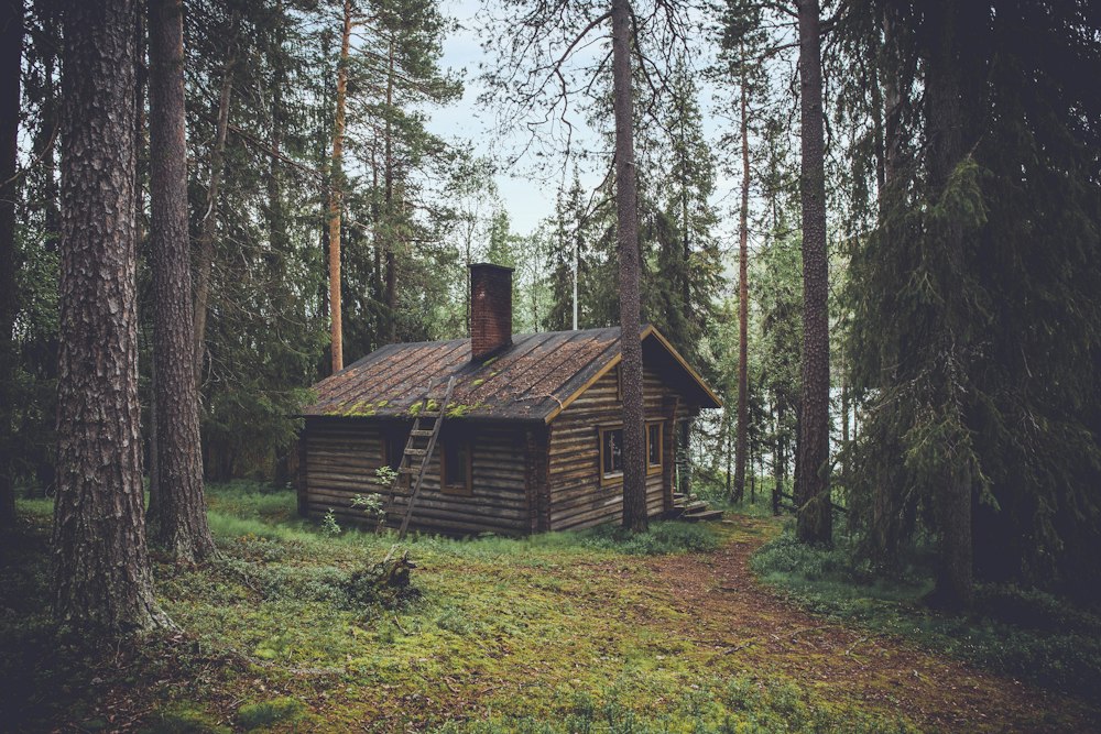 Cozy mountain lodge exterior